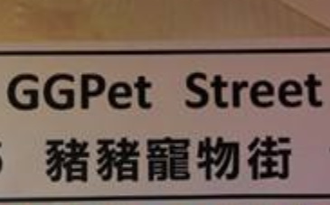推介: 豬豬寵物 GG Pet