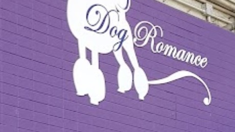 推介: Dog Romance
