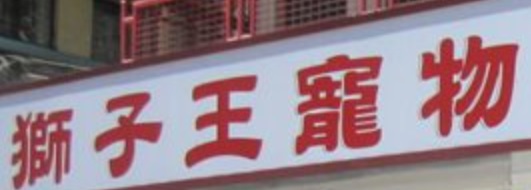 推介: 獅子王寵物店