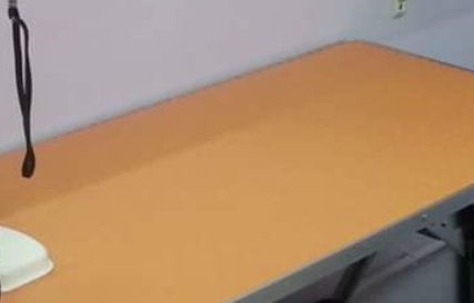 推介: Joyful Pet's House 寵物美容屋