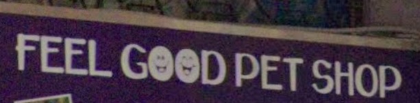推介: Feel Good Pet Shop