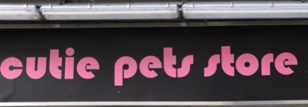 推介: Cutie Pets Store