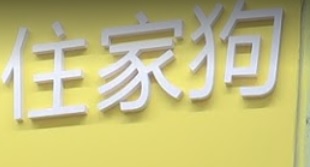 推介: 住家狗寵物用品 Homey Paw