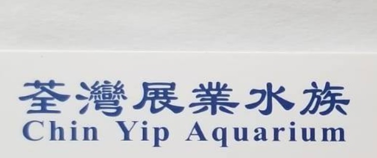推介: 荃灣展業水族