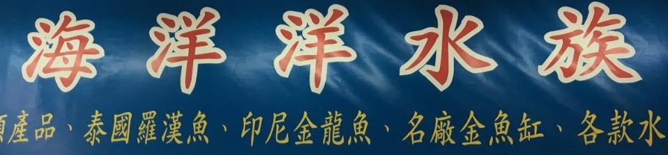 推介: 荃灣海洋洋水族