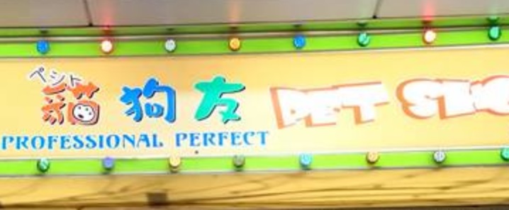 推介: 貓狗友