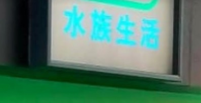 推介: 水族生活 Aqua Life
