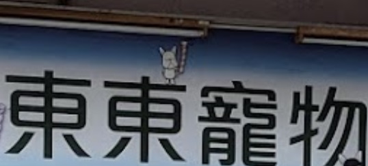 推介: 東東寵物美容屋