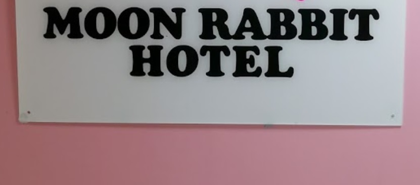 推介: 穴兔小動物用品速遞 Moon Rabbit