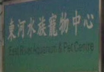 推介: 東河水族寵物中心