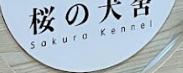 推介: 桜の犬舍 Sakura Kennel