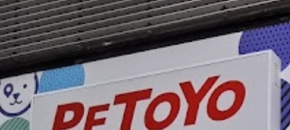 推介: Petoyo Grooming 壹寵 (般咸道)