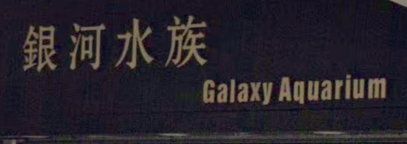 推介: 銀河水族 Galaxy Aquarium