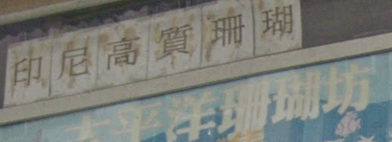 推介: 太平洋珊瑚坊