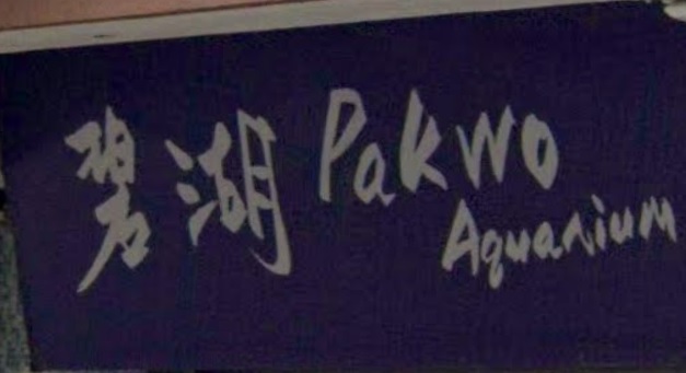 推介: 碧湖 Pak Wo Aquarium (通菜街170)