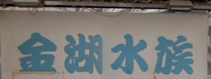 推介: 金湖水族