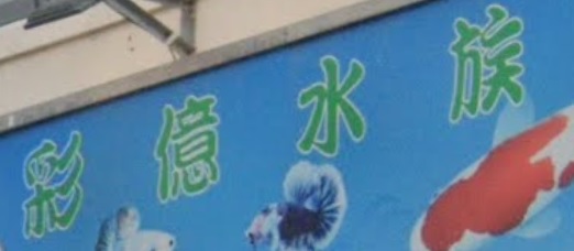 推介: 彩億水族坊