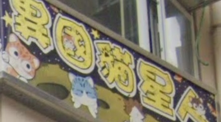 推介: 異國貓星人 