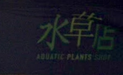 推介: 水草店 Aquatic Plants Shop