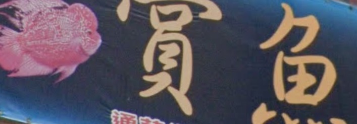 推介: 賞魚閣 Goldfish