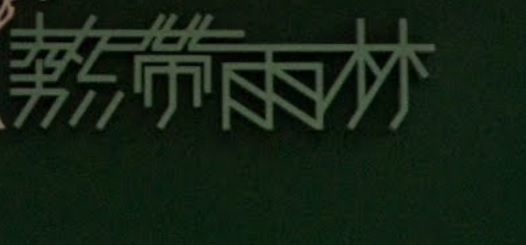 推介: 熱帶雨林 Green Concept