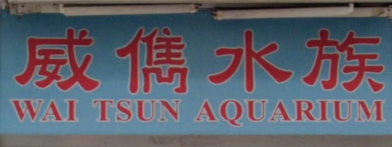 推介: 威儁水族