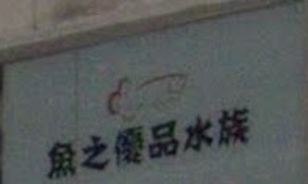 推介: 魚之優品水族