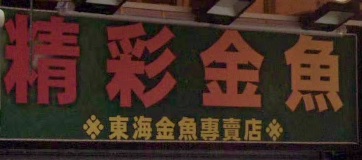 推介: 精彩金魚
