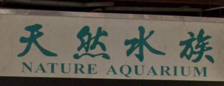 推介: 天然水族 Nature Aquarium