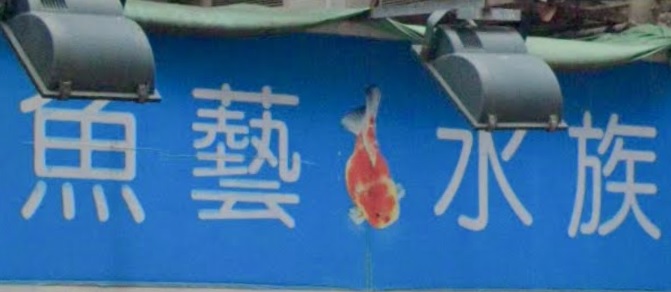 推介: 魚藝水族