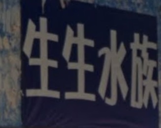 推介: 生生水族