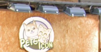 推介: PETS ICON