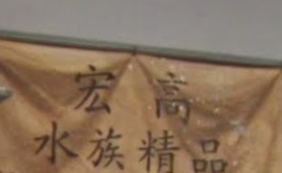 推介: 宏高水族精品