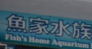 推介: 魚家水族工程