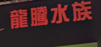 推介: 龍騰水族