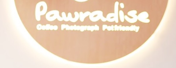 推介: Pawradise