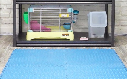 推介: 兔公館 HK Bunny