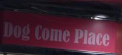 推介: Dog Come Place