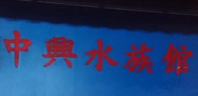 推介: 中興水族館 (漁灣村)