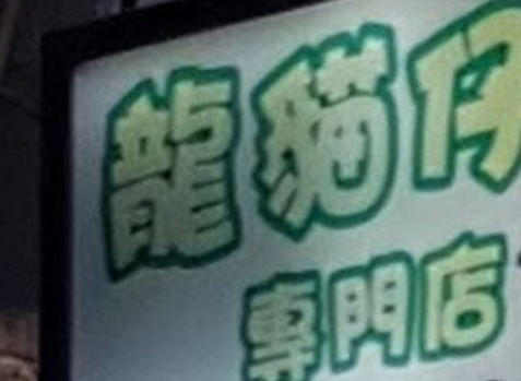 推介: 龍貓仔專門店 Chinchilla & Pets Shop