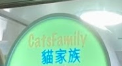 推介: 貓家族 Cats Family