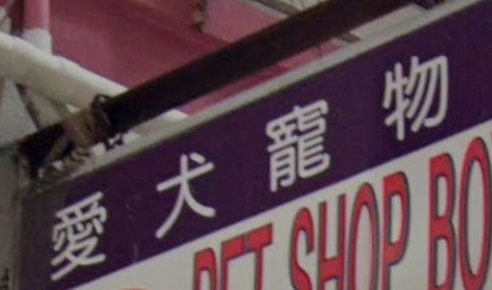 推介: 愛犬寵物美容屋