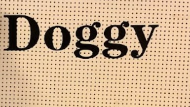 推介: I-doggy pet house