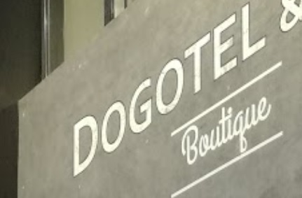 推介: Dogotel & SPA (丹納中心)