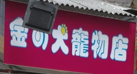 推介: 金之犬寵物店