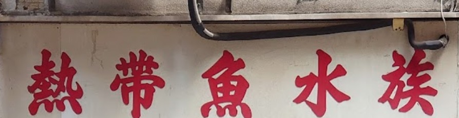 推介: 熱帶魚水族