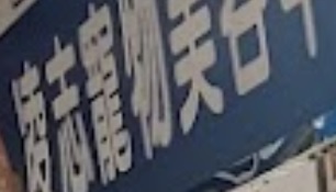 推介: 凌志寵物美容中心