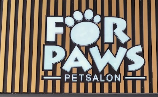 推介: For Paws - Pet Salon (映灣坊)
