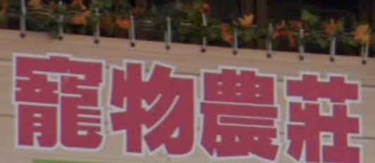 推介: 大嶼山寵物農莊