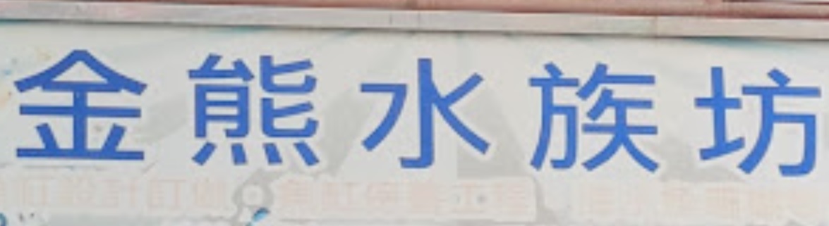 推介: 金熊水族坊 (通菜街)